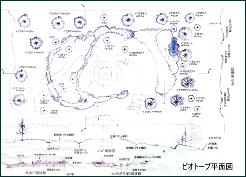 ビオトープ平面図