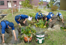 Enter the biotope and clean up