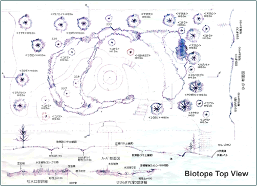 Biotope Top View