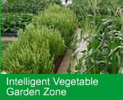 Intelligent Vegetable Garden Zone