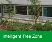 Intelligent Tree