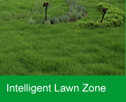 Intelligent Lawn